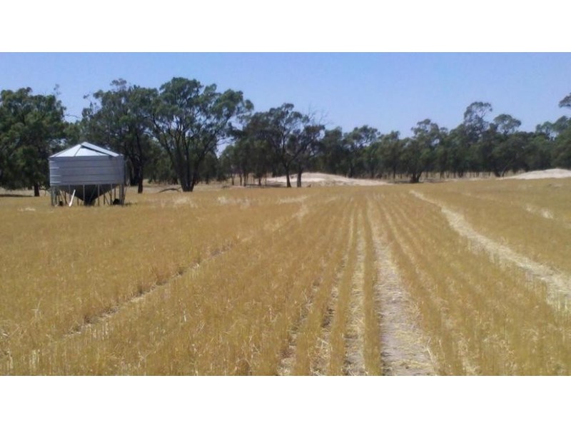 Collard Road, Dimboola VIC 3414