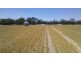 Collard Road, Dimboola VIC 3414