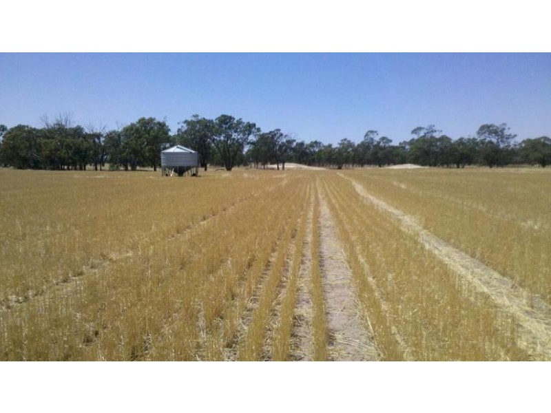 Collard Road, Dimboola VIC 3414