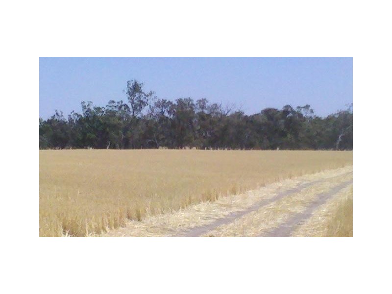 Collard Road, Dimboola VIC 3414