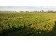 Collard Road, Dimboola VIC 3414