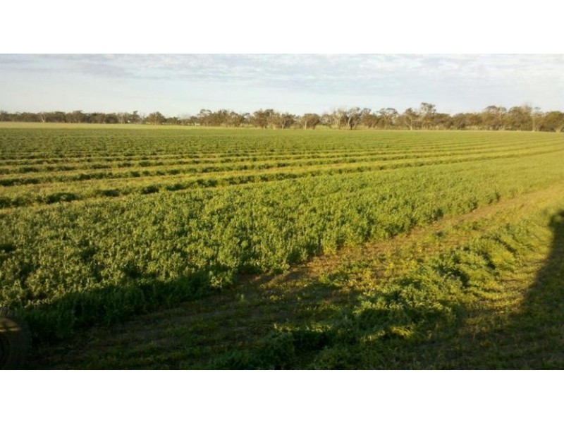 Collard Road, Dimboola VIC 3414