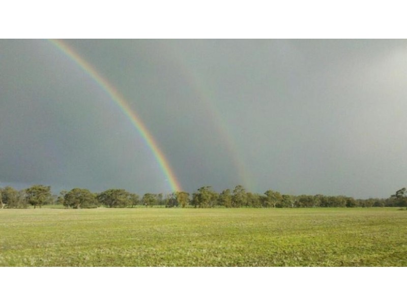 Collard Road, Dimboola VIC 3414