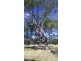 Collard Road, Dimboola VIC 3414