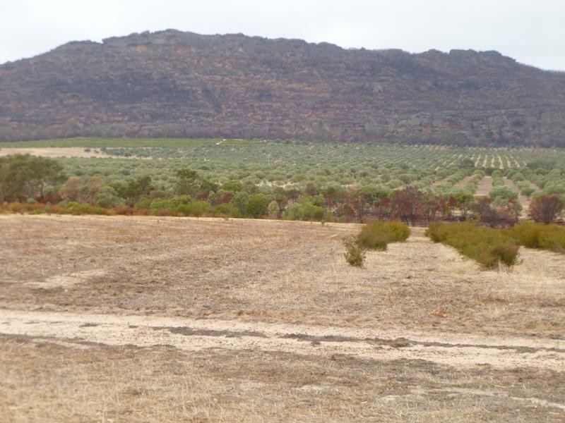 1379 Winfields Road, Laharum VIC 3401