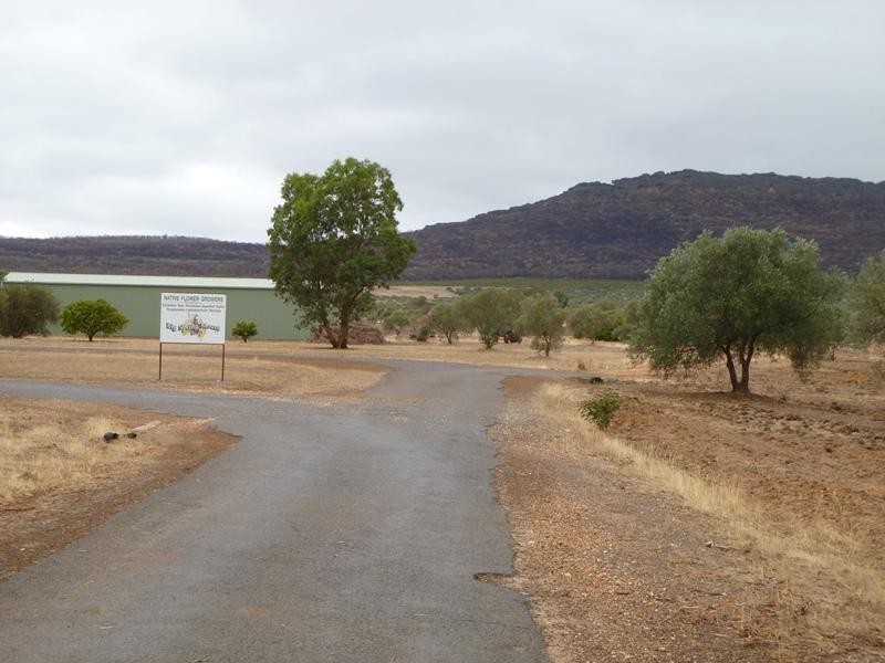 1439 Winfields Road, Laharum VIC 3401
