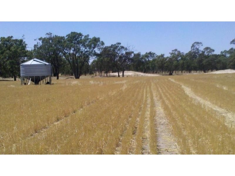 Collard Road, Dimboola VIC 3414