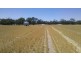 Collard Road, Dimboola VIC 3414
