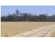 Collard Road, Dimboola VIC 3414