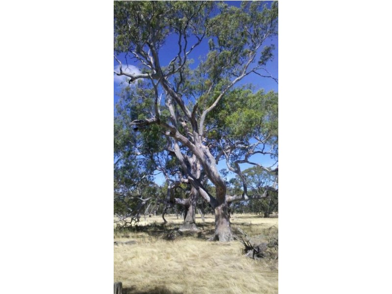 Collard Road, Dimboola VIC 3414
