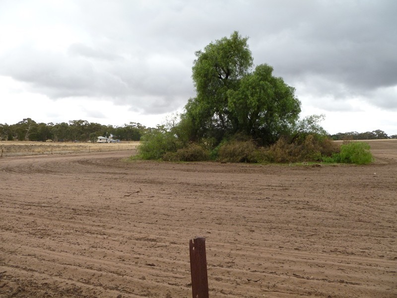 Patterson’s Road, Dimboola VIC 3414