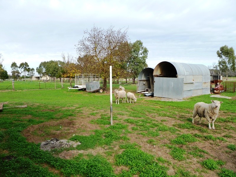 216 Old Hamilton Road, Horsham VIC 3400