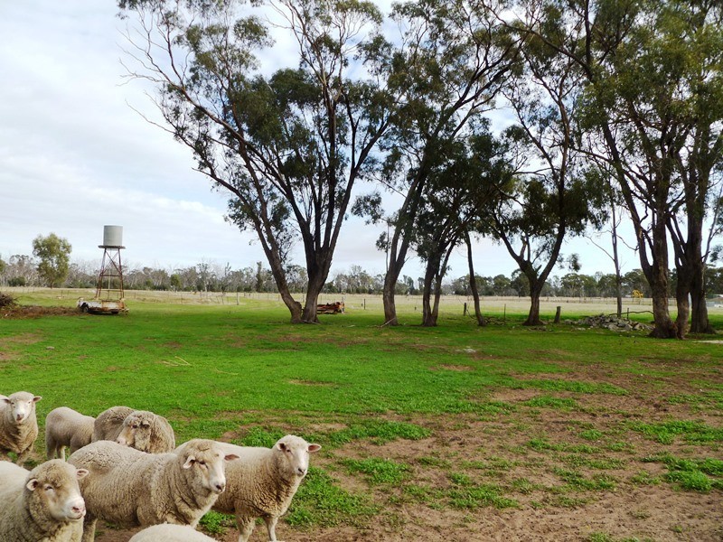 216 Old Hamilton Road, Horsham VIC 3400