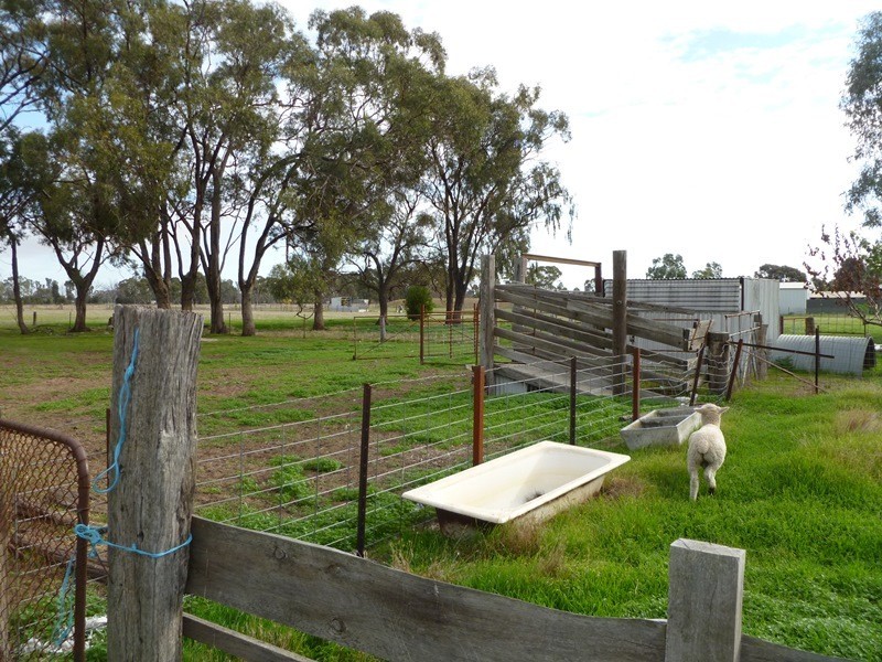 216 Old Hamilton Road, Horsham VIC 3400