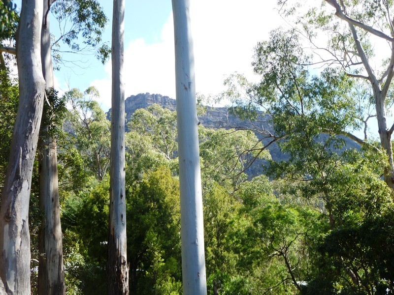 320 Grampians Road, Halls Gap VIC 3381