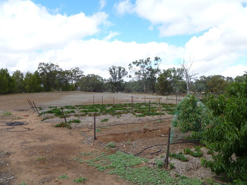 1 Henty Highway, Beulah VIC 3395