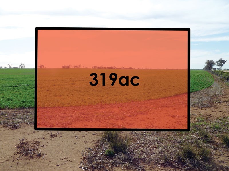 Katyil Road, Tarranyurk VIC 3414