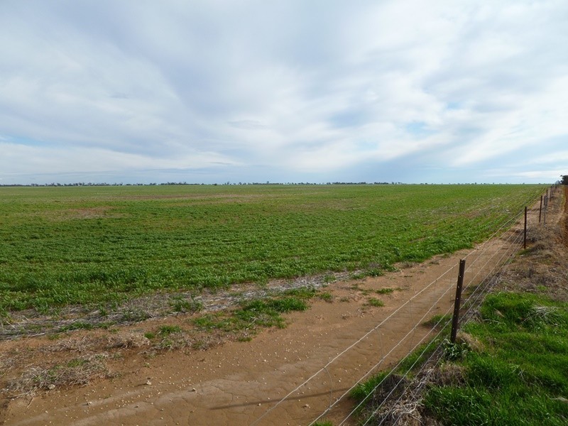 Boundary Road, Tarranyurk VIC 3414