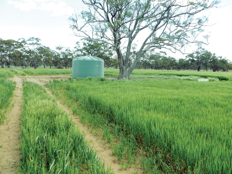 Western Highway, Dimboola VIC 3414