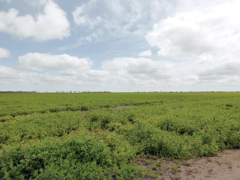 Antwerp-Warracknabeal Road, Dimboola VIC 3414