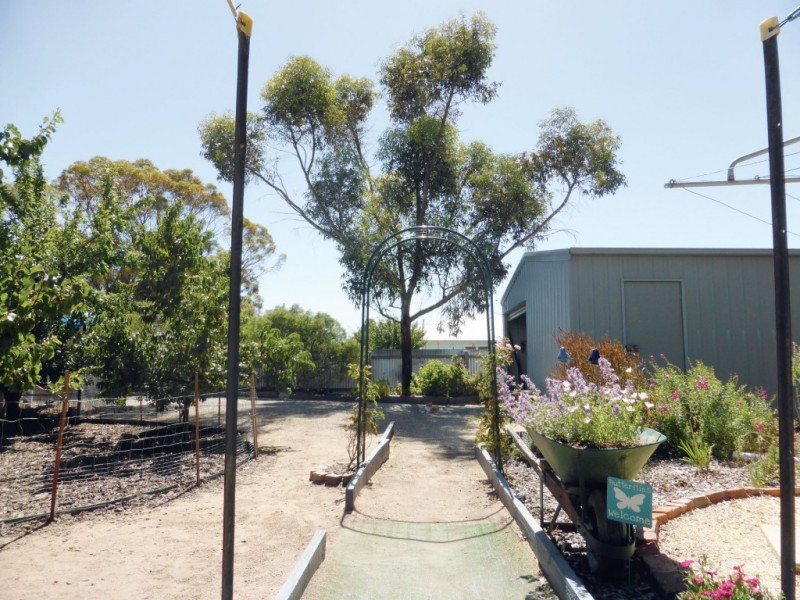 39 Church Street, Minyip VIC 3392