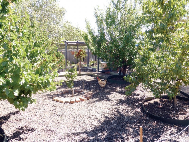 39 Church Street, Minyip VIC 3392