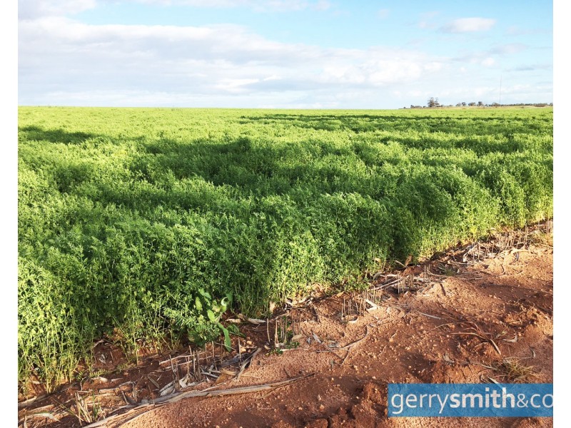 201 Jeparit East Road, Jeparit VIC 3423