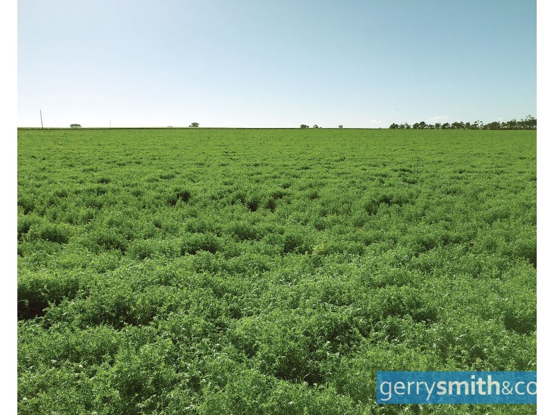 201 Jeparit East Road, Jeparit VIC 3423