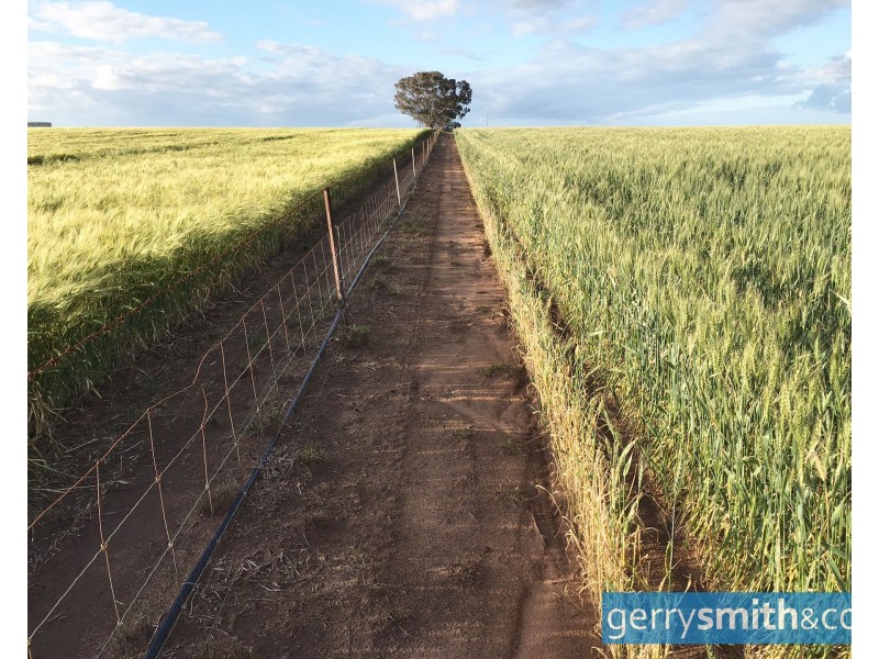 201 Jeparit East Road, Jeparit VIC 3423