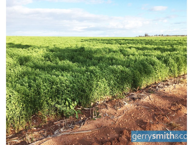 201 Jeparit East Road, Jeparit, Jeparit VIC 3423