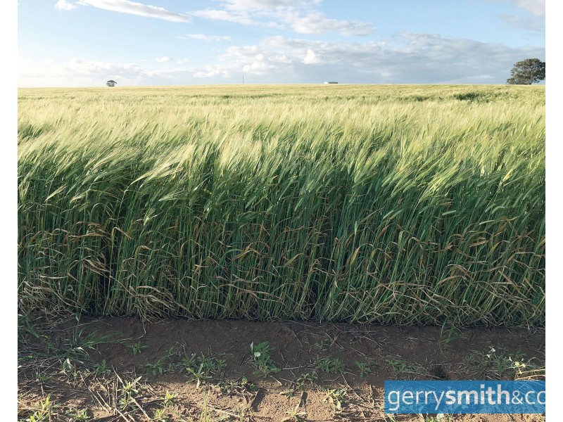 201 Jeparit East Road, Jeparit, Jeparit VIC 3423