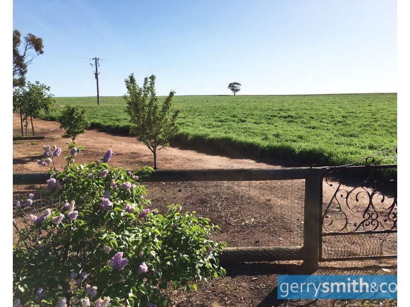 201 Jeparit East Road, Jeparit, Jeparit VIC 3423