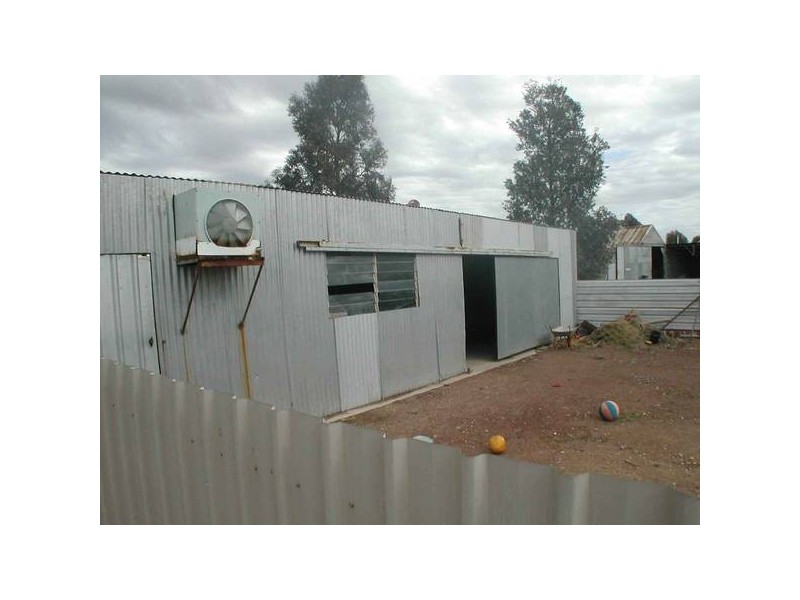 Warracknabeal VIC 3393