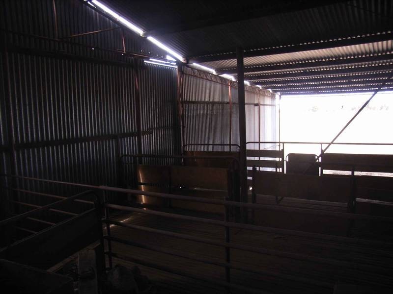 Noradjuha VIC 3401