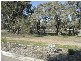 Warracknabeal VIC 3393