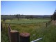 Harrow VIC 3317