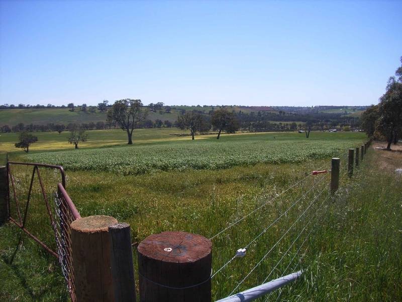 Harrow VIC 3317
