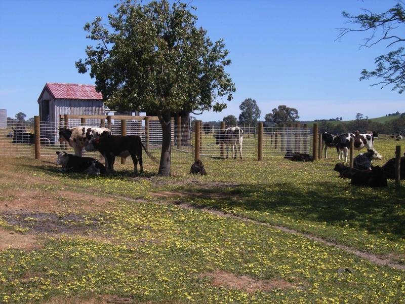 Harrow VIC 3317