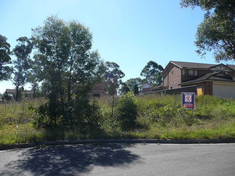 805 CARNARVON CRESCENT, Georges Hall NSW 2198