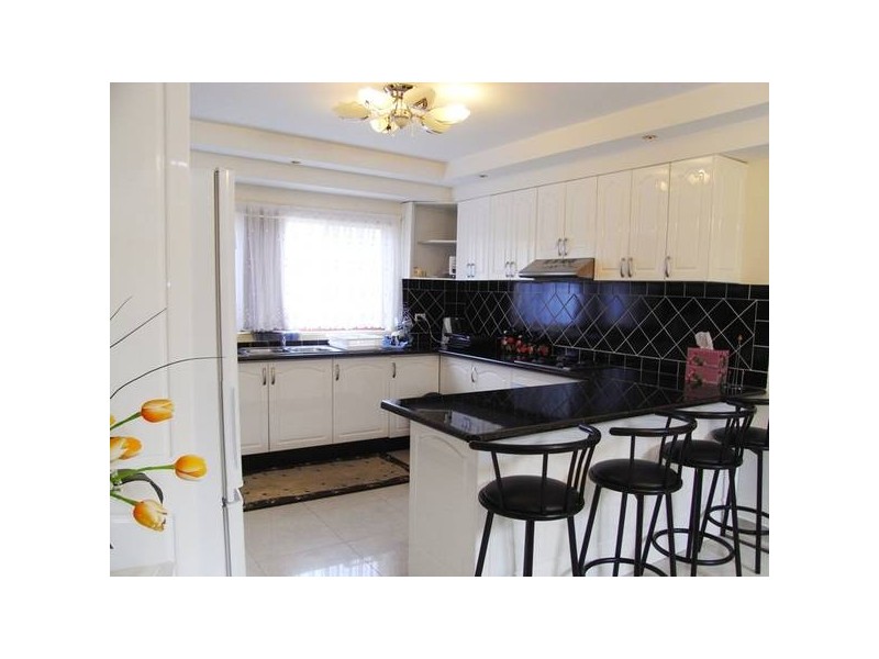 29 Beaumont Street, Auburn NSW 2144