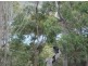 32 Leichhardt Street, Russell Island QLD 4184