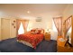 7 Sweetapple Place, Manly West QLD 4179