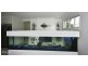 15 Wellesley Street, Wellington Point QLD 4160