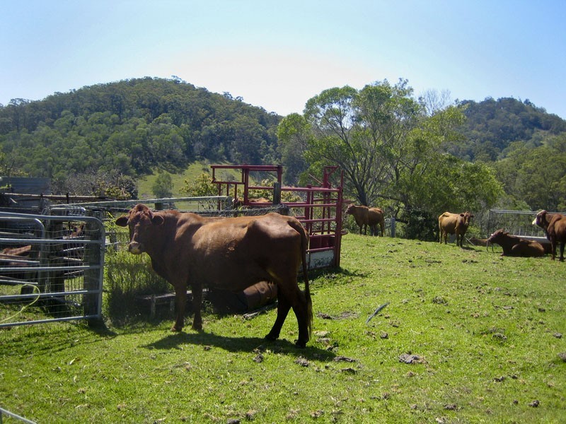 583 West Mt Cotton Road, Mount Cotton QLD 4165