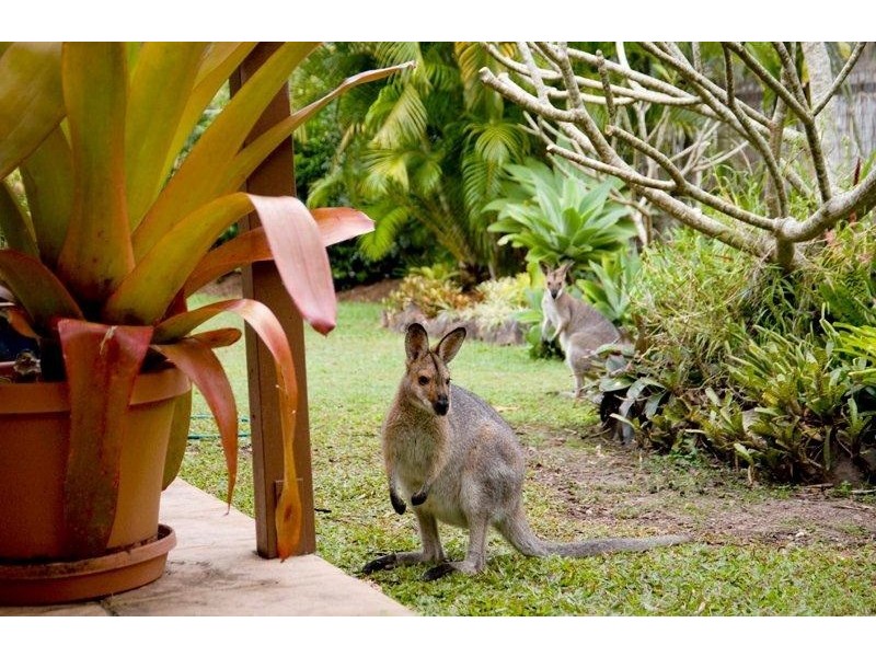 2 Homestead Place, Mount Cotton QLD 4165