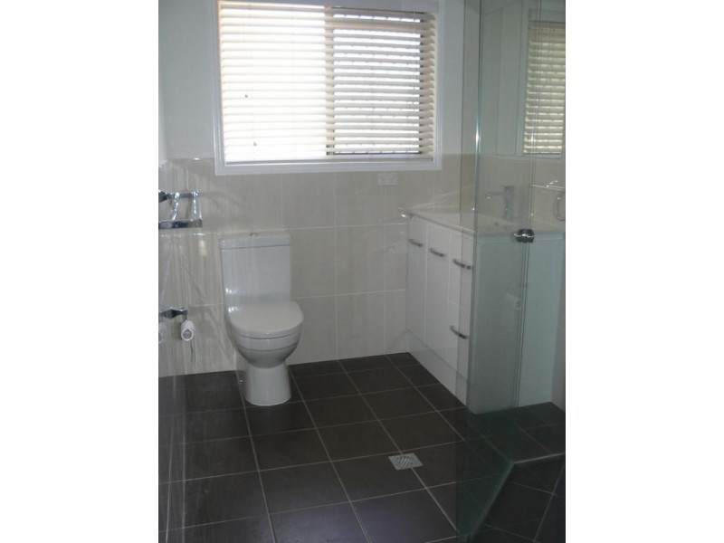 11 Duck Street, Birkdale QLD 4159