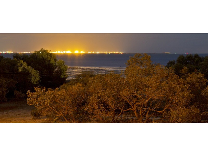 113 Cavell Street, Birkdale QLD 4159