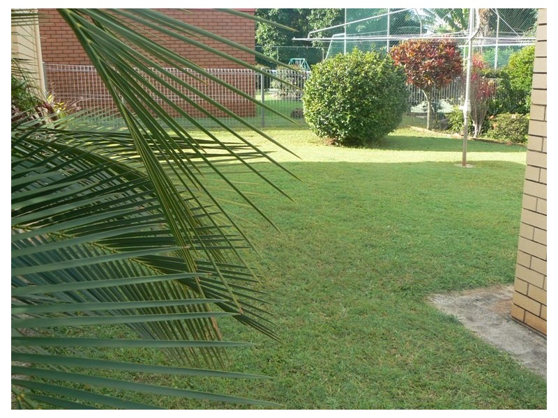 91 Passage Street, Cleveland QLD 4163