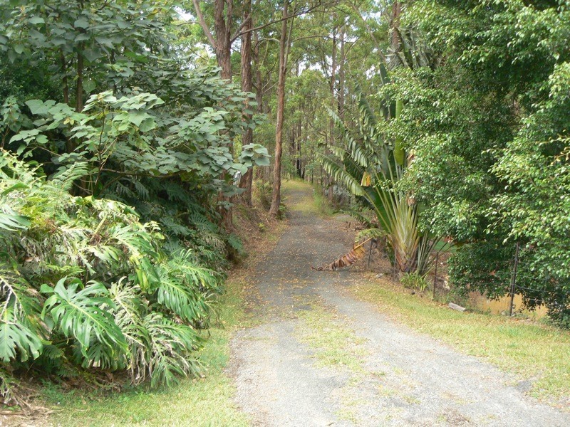 452 Henri Robert Drive, Tamborine Mountain QLD 4272