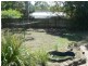 60 Sallows, Alexandra Hills QLD 4161